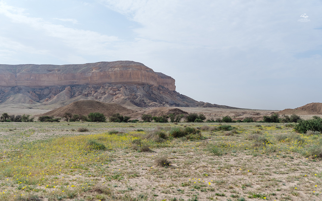 مرتفعات العرمة